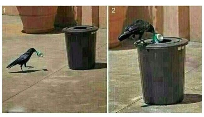 صورة مدهشة.. 