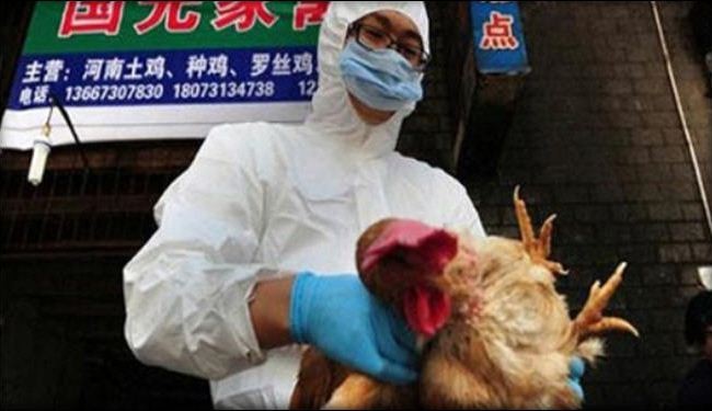ظهور حالة جديدة من إنفلونزا الطيور في الصين