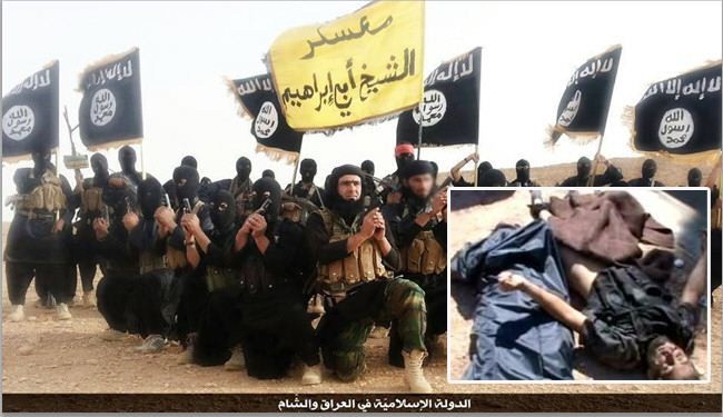 مصرع قائد للقاعدة بالحجيرة ومسلحین اجانب بريف اللاذقية