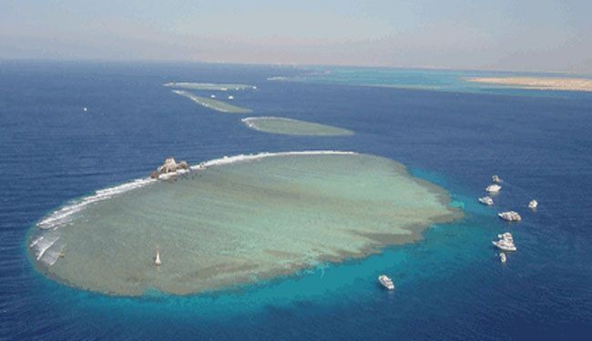 السعودية تريد 