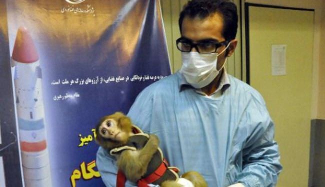 ايران سترسل مجددا قردا الى الفضاء الشهر القادم