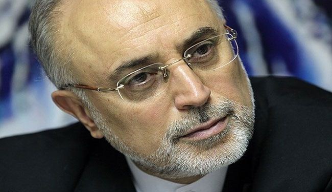 صالحي: النووي هاجس وطني يتبنى القائد قيادته
