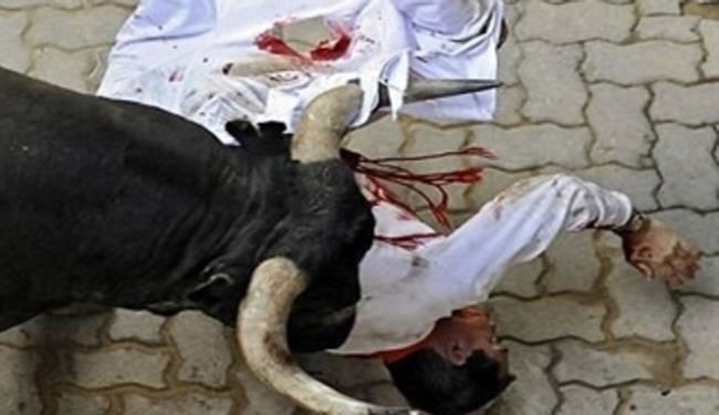 قصاب مصری به جای گوساله قربانی شد!