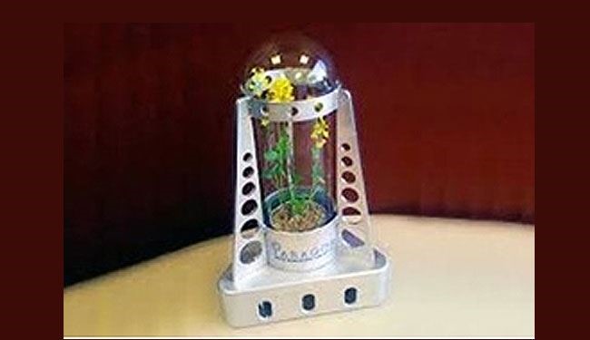کاشت سبزی‌ در کره ماه !