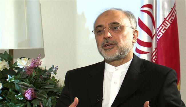 صالحي: مفاعل بوشهر  يحظى بدرجة أمان عالية أمام الزلازل