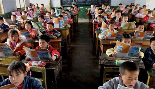 سيدة صينية تسمم 19 تلميذا بسم الفئران