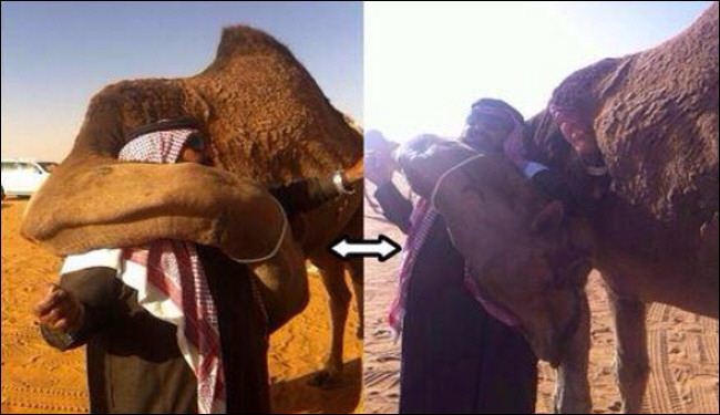 بالصورة ..عناق حار 