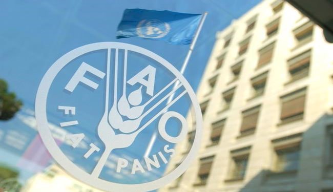 الفاو تطالب ايران بتقديم انجازاتها النووية الى دول اخرى