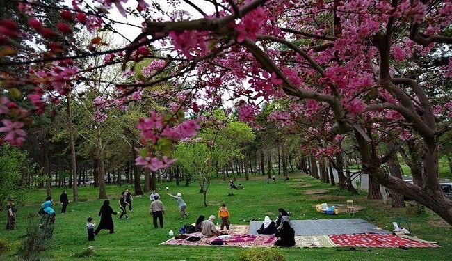 سیزده به در