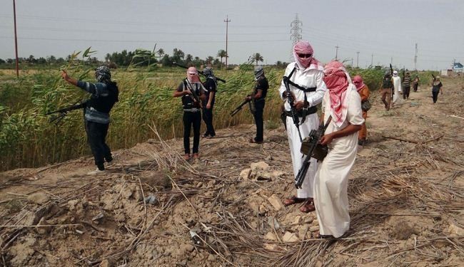 مقتل 3 قادة لـ