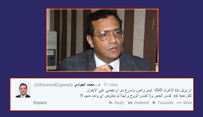 مؤيد للإخوان: إزالة الأهرامات أهون من قضاء 