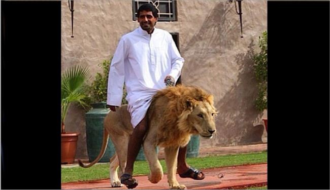 شاهد... صور غريبة لا تراها الا في دبي !