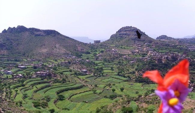 منكم وإليكم: مناظر من مدينة الضالع جنوب اليمن