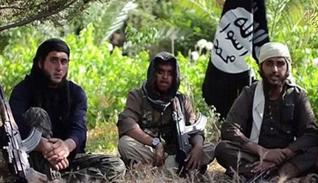 البنتاغون: 100 اميركي يقاتلون الى جانب التكفيريين في سوريا