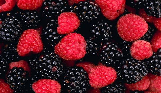 دراسة: التوت أقوى علاج للسرطان