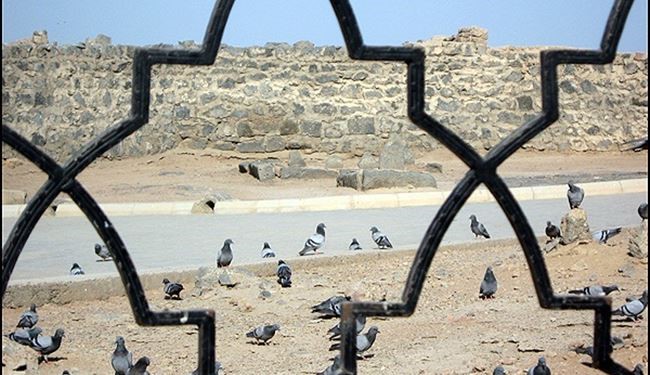 ادعای عجیب مقام عربستانی
