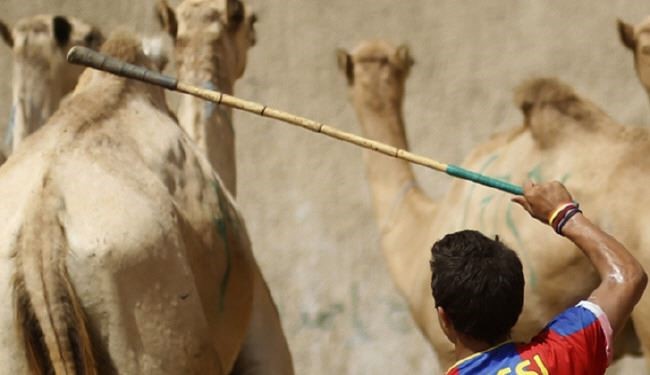 عکس؛ مسی در مصر شترچرانی می‌کند!