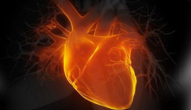 باحثة ايرانية تنجح بانتاج ثقالة لصمام القلب