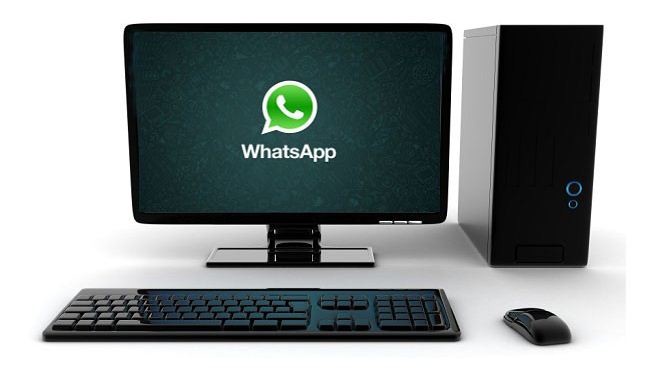 إليكم جديد واتساب 