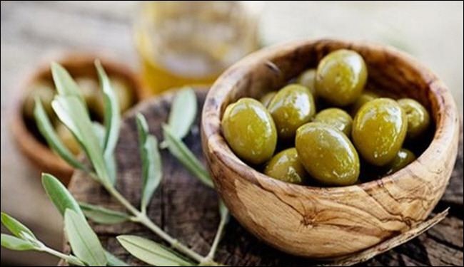 الزيتون يحمي من سرطان البروستاتا والثدي والمعدة