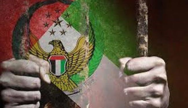منظمة 