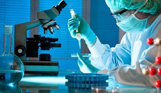 الخلايا الجذعية.. أمل لأدوية الملاريا الجديدة