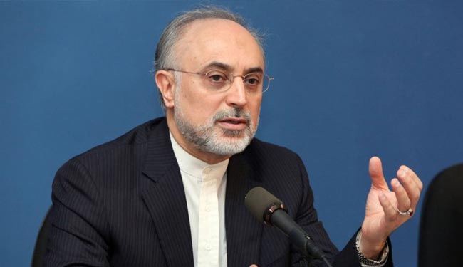 صالحي: نتطلع لبناء محطات نووية صغيرة