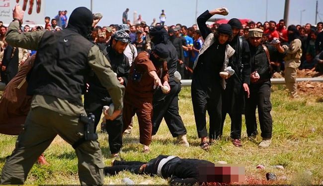 بالصور... 