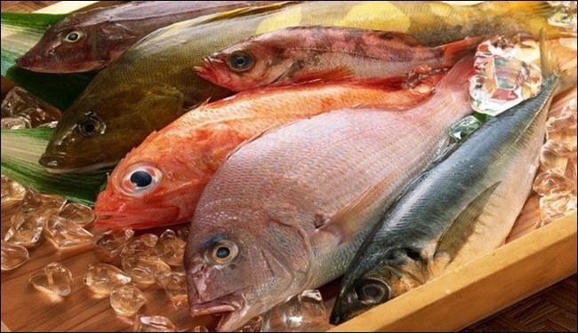 ما هي 4 مواد غذائية تجعل الإنسان عبقريا؟