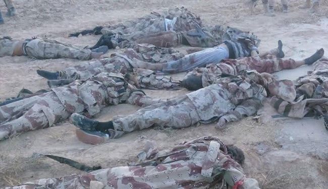 مصر تنشر صورا لجثث منفذي هجوم سيناء