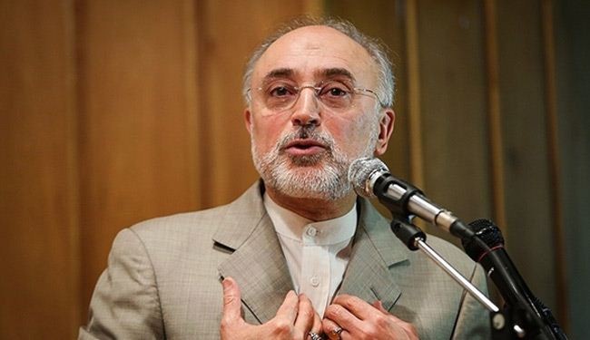 صالحي: سنبدأ ببناء 4 محطات نووية جديدة اثنان منها هذا العام