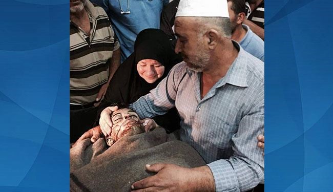 الاحتلال يعدم شابا فلسطينيا جنوب الخليل
