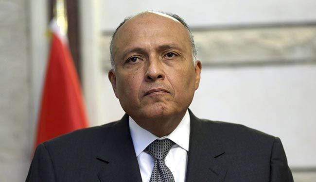 مصر تؤيد الغارات الروسية في سوريا