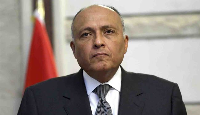 مصر.. لا خلاف مع السعودية؛ وبقاء الاسد يحدده السوريون