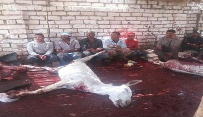 عاقبت مرد خسیس که گوشت الاغ به خورد زنش می‌داد!