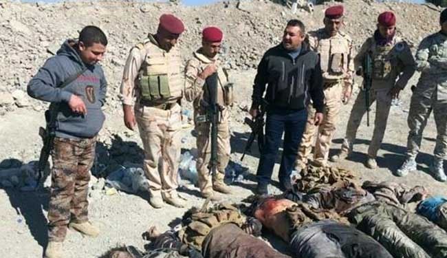 قوات العقرب تقتل 12 داعشيا شرق الرمادي في العراق
