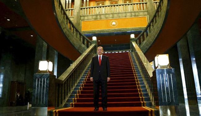 انتقادات لاردوغان بسبب 