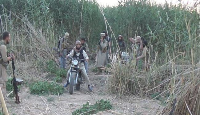 جاری شدن سیل،7مخفیگاه داعش را لو داد