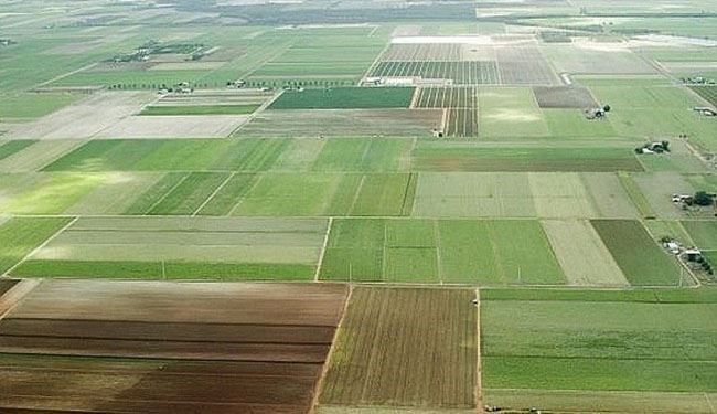 یک هکتار زمین رایگان برای هر شهروند روس!