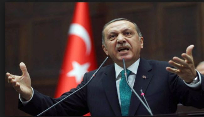 خبير تركي: عهد أردوغان 