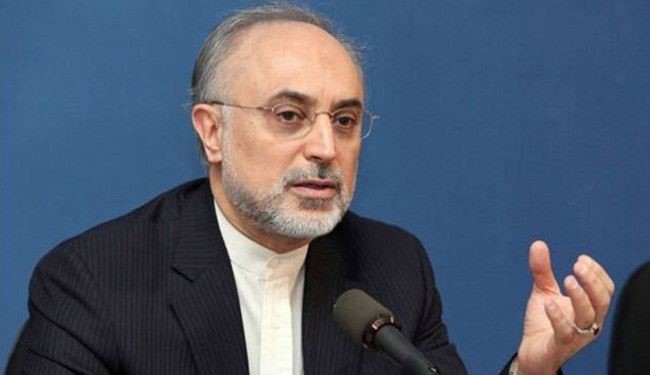 صالحي: الملف النووي الایراني کان مفبرکا کله