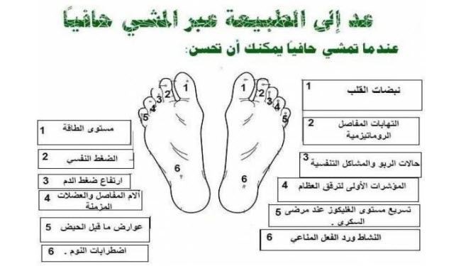ماذا يحدث للجسم عندما نمشي حفاة 5 دقائق كل يوم !