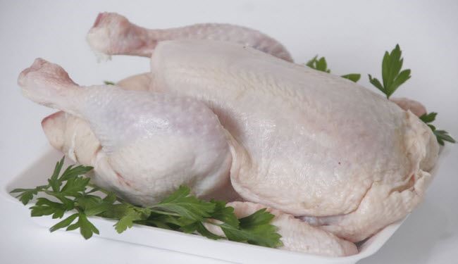 العراق يمنع استيراد الطيور من 24 دولة، من هي؟