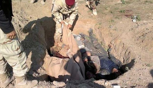 الحشد الشعبي يقتل مسؤول إعلام 
