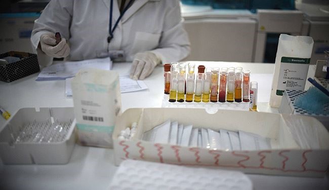 السعودية تحذر من بعوضة زيكا في جدة وجازان