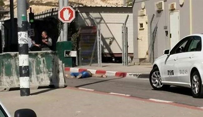 الاحتلال يعدم 3 أطفال فلسطينيين بالضفة.. والذريعة واحدة!