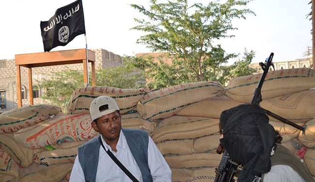 على جبهة تعز: في الحرب.. 