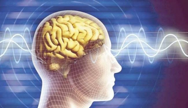 هذه النبتة تقي من إشعاعات الهواتف الذكية‎