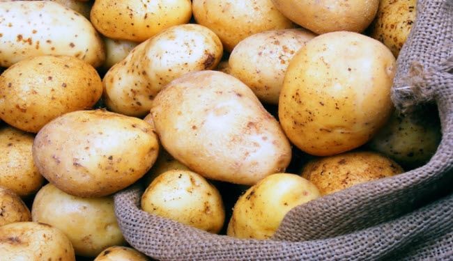 تحذير: لا تطبخ البطاطس بهذه الطريقة...لانها تؤدى للوفاة