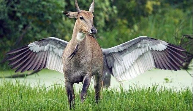عکس هایی که به موقع گرفته شد